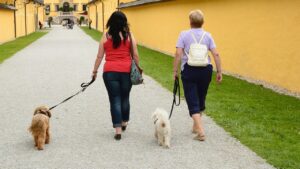 women walking with dogs