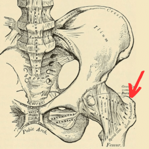 Greater trochanter pain on outside of hip
