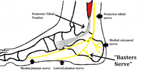 pain in foot from the posterior tibal tendon and tibial nerve