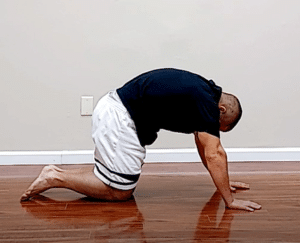 Cat camel pose is a good yoga stretch for lower back pain