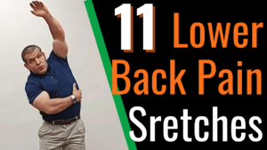 stretches for degenerative disc disease in lower back