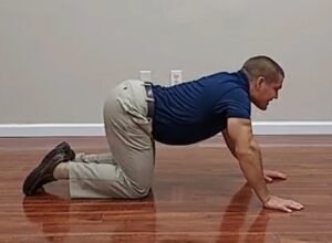 Lower Back Pain Cat Cow Exercise on hands and knees, downward extension movement
