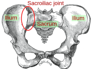 Your Sacroiliac joint (SI joint) is not designed to stretch