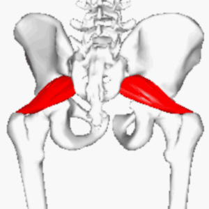 piriformis stretches can help SI joint pain