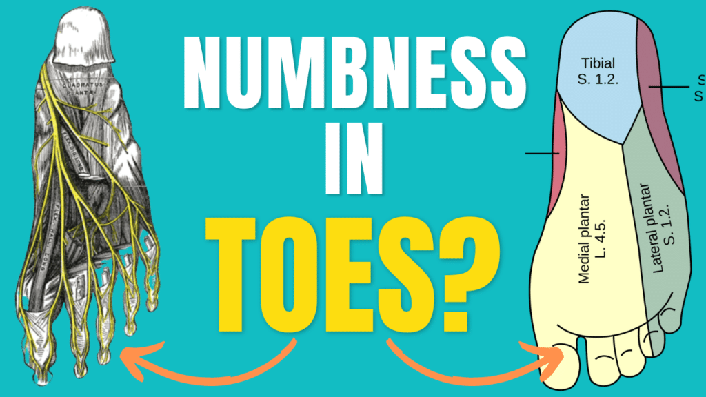 Causes Of Numbness In Toes 1024x576 