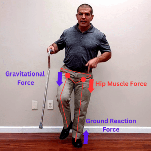 How To Use A Cane To Walk - Free Body Diagram 1
