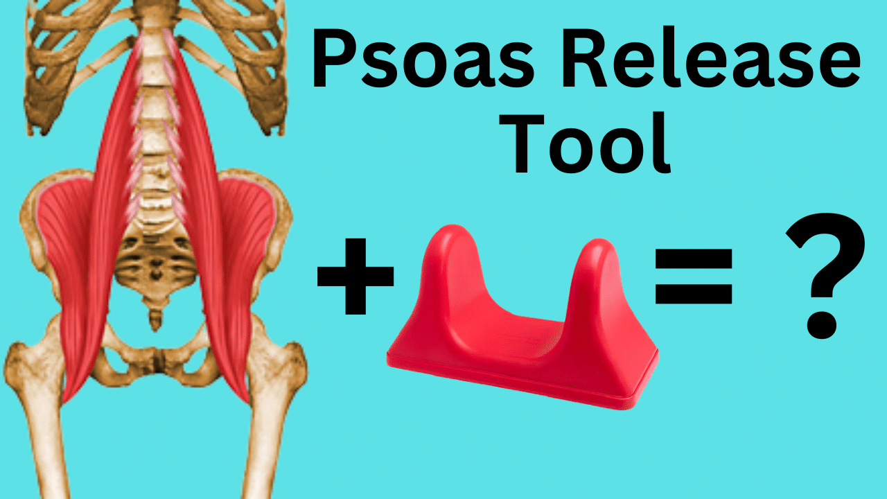 Psoas Release Tool + Psoas Muscle Stretches