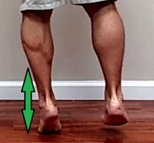 strengthening exercise for ankle #1 - single leg heel raise