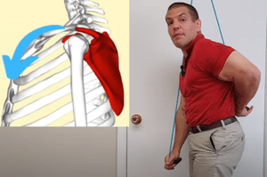 Shoulder pulley internal rotation exercise