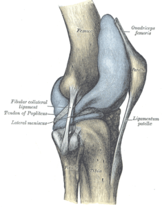 swelling in the knee joint capsule can cause knee stiffness after sitting.