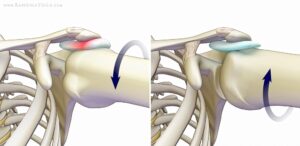 shoulder internal rotation and external rotation