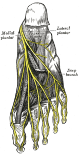 The Medial Plantar Nerve can cause foot arch pain walking
