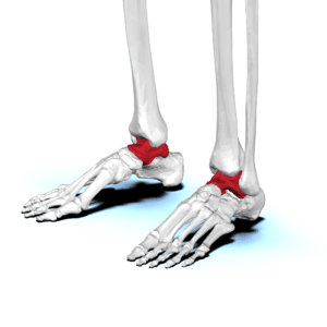 Poor ankle joint mobility can cause knee arthritis pain when standing up