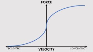 force velocity curve when climbing stairs and walking down stairs